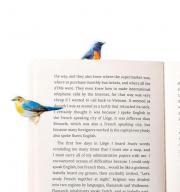 Zakładka do książki samoprzylepna wielokrotnego użytku Stikki Marks Winter Birds